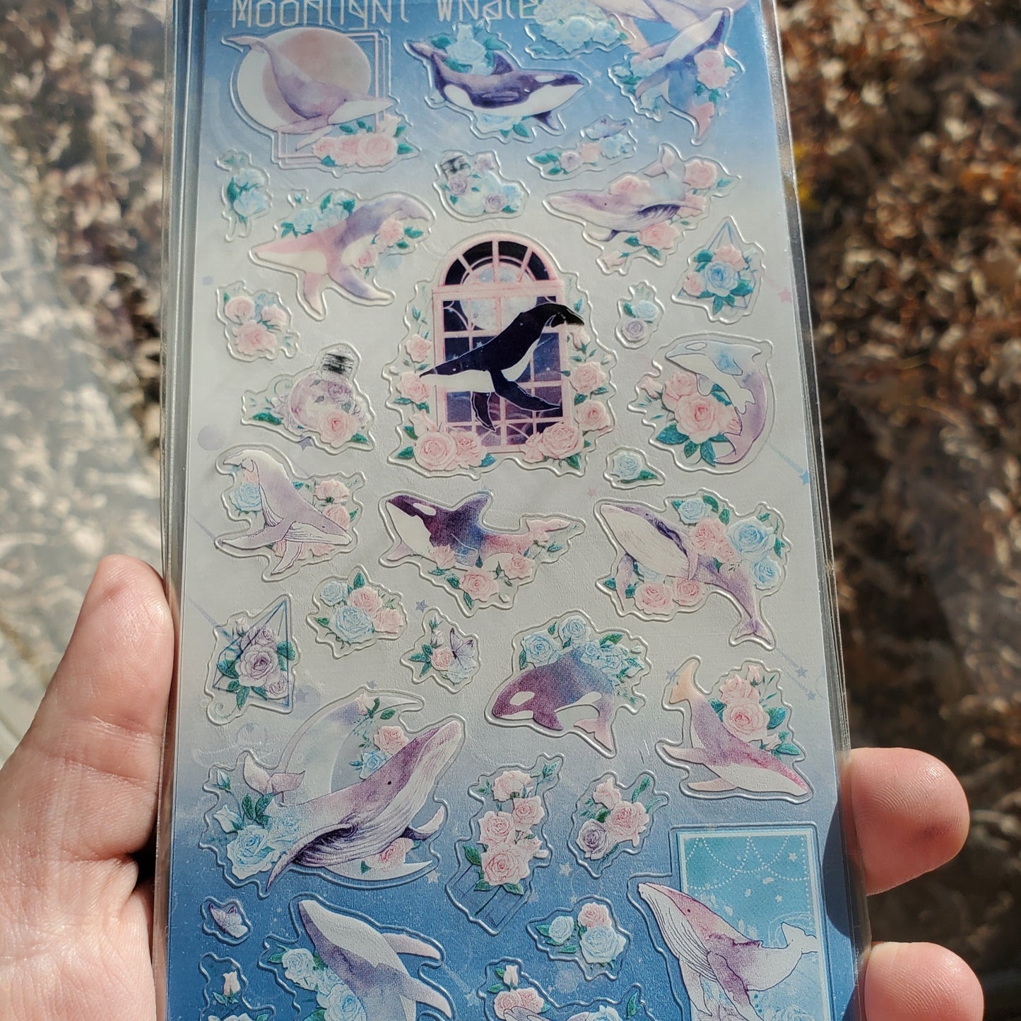 Moonlight Whale Sticker Sheet